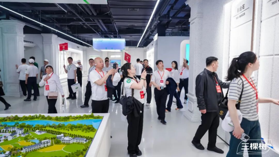 三棵樹2026年經銷商年會紀要2149