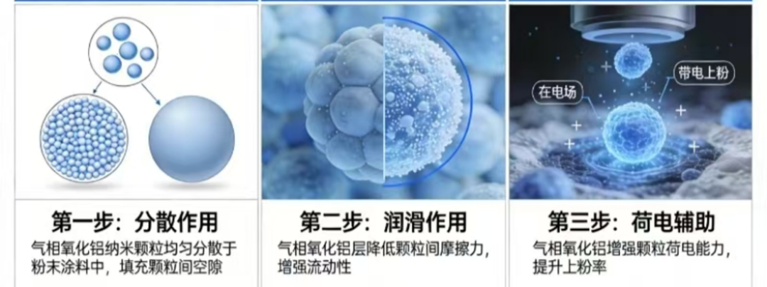 2026涂料大會會議紀要1162